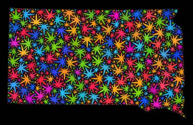 Çok renkli esrar yaprakları mozaik Güney Dakota devlet Haritası