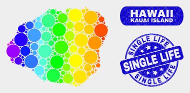 Renkli Mozaik Kauai Adası Haritası ve Grunge Tek Yaşam Damgası