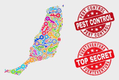 Shield Fuerteventura Adası Haritası ve Grunge Haşere Kontrol Damgası Kompozisyonu