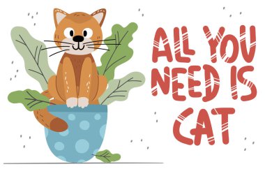 Beyaz arka planda izole şirin kedi.