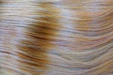 Açık sarı dalgalı saçlar arka plan için yakın plan