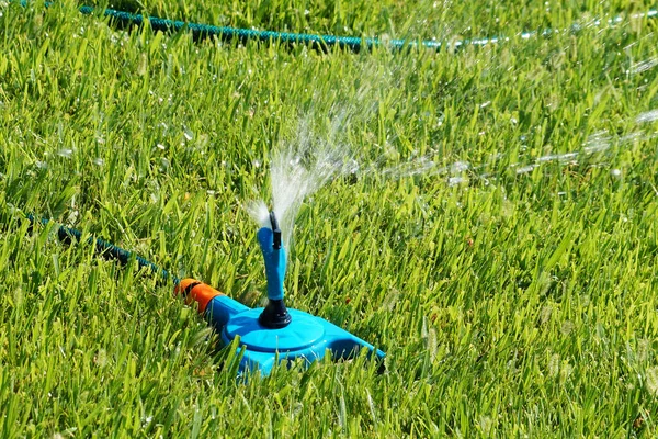 Automatisch Besproeien Van Het Gazon Het Park Close — Stockfoto