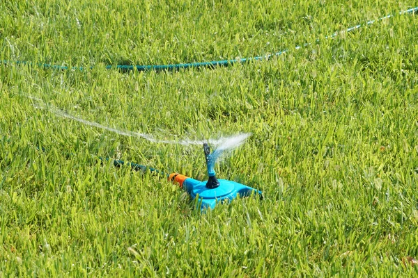 Riego Automático Del Césped Primer Plano Del Parque —  Fotos de Stock