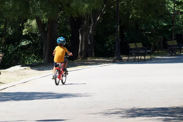 Egy Fiú Biciklizik Nyári Parkban — Stock Fotó