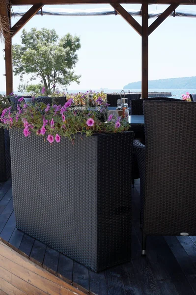 夏の海辺のカフェにアンペルの花を持つ大きなウィッカーの花のポット — ストック写真