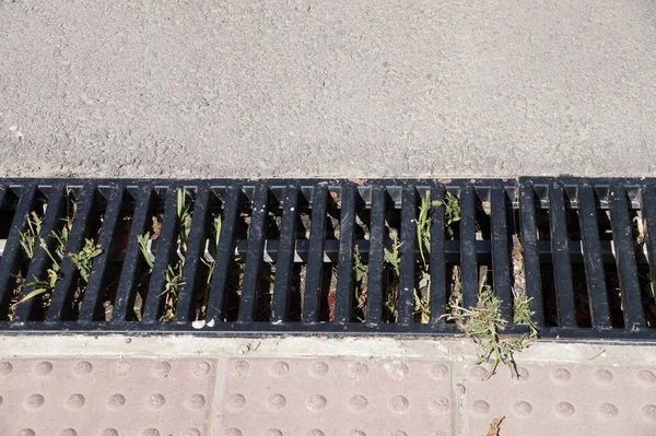 Gjutjärn Gata Dränering Trottoaren — Stockfoto