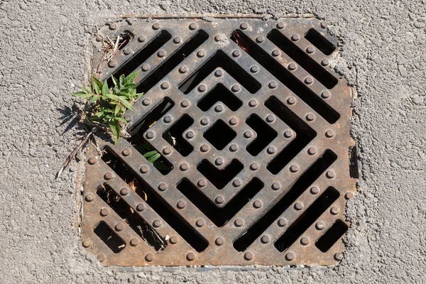 Gjutjärn Gata Dränering Trottoaren — Stockfoto