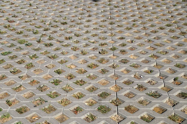 Laje Pavimentação Concreto Com Buracos Grama — Fotografia de Stock