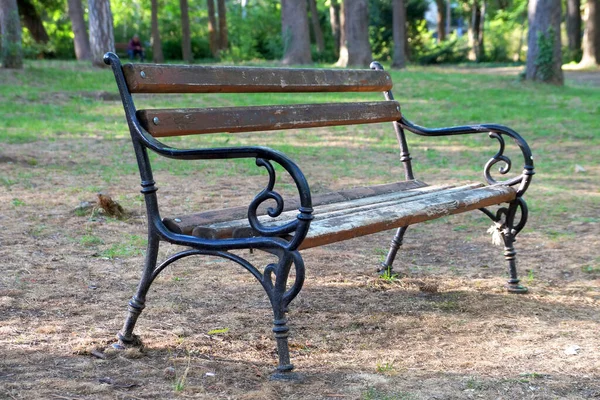 Güneşli bir günde ormanda boş bir park bankında.