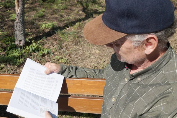 .man reads a book on a park bench in summer.