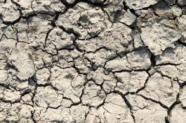 Kuraklıkla çatlamış, kavrulmuş toprağın dokusunun detaylı bir yakın çekimi. Doğal afet kavramı.