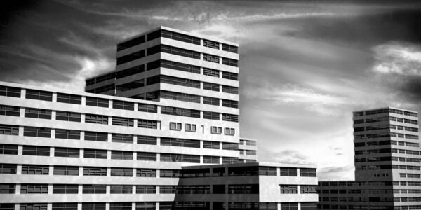 Residential complex. Multistory building. Black and white halftone image. 3 D illustration.