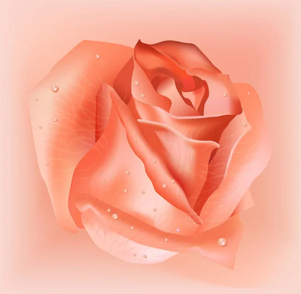 Fleur Rose Réaliste Sur Fond Clair Vecteur — Image vectorielle
