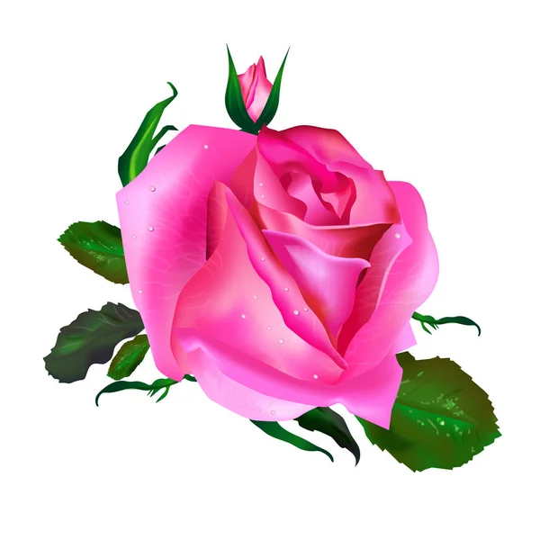Rosa Vettoriale Realistica Rosa Con Foglie Verdi Isolate Sfondo Bianco — Vettoriale Stock