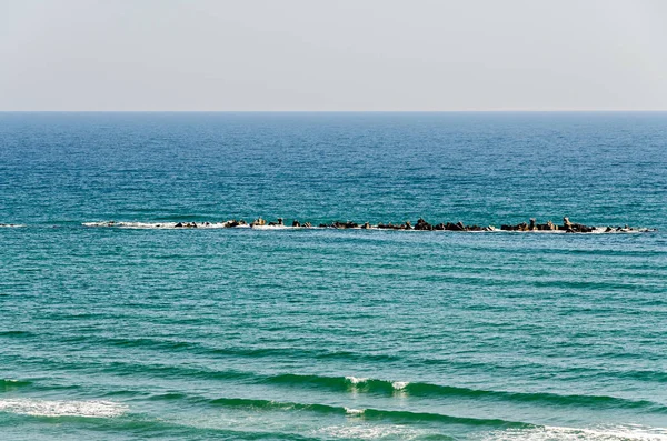 Mavi temiz su ve altın kumlar Mamaia, Romanya'dan Black Sea Beach.