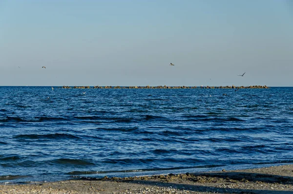 Stranden Svarta Havet Mamaia Rumänien Med Blå Klart Vatten — Stockfoto