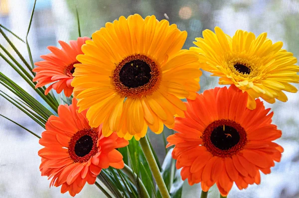 Bouquet Aus Orangen Und Gelben Gerbera Blüten Nahaufnahme Bokeh Hintergrund — Stockfoto