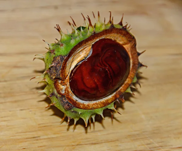 Castaño Marrón Cerca Con Cubierta Verde Espiga Fondo Madera — Foto de Stock