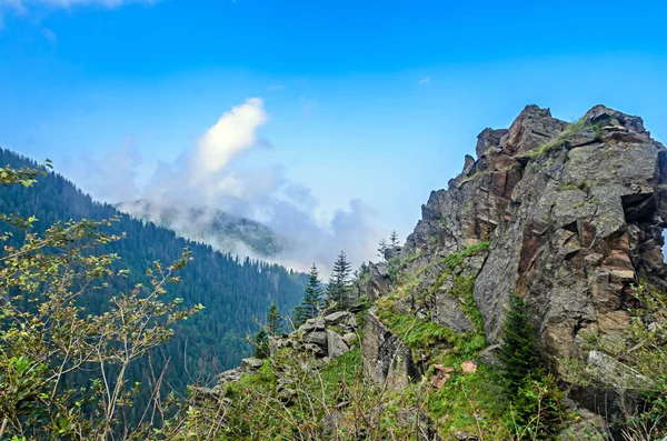 雲の中はフグラシ山 緑の芝生と岩 カルパティア山脈の Transfagarasan 道路のピークします — ストック写真