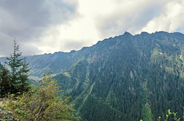 雲の中はフグラシ山 緑の芝生と岩 カルパティア山脈の Transfagarasan 道路のピークします — ストック写真