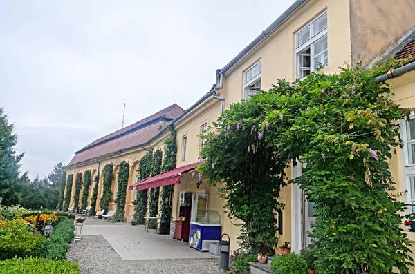 Dettaglio Dal Giardino Esterno Del Vecchio Palazzo Brukenthal Avrig — Foto Stock