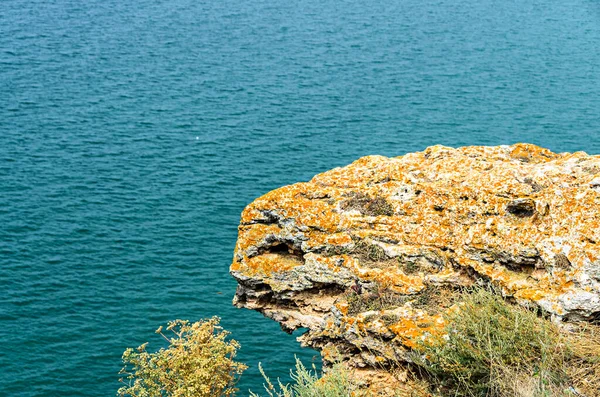 绿色雷斯悬崖，Kaliakra角，黑海水，牛群 — 图库照片