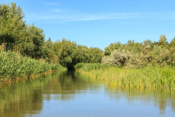 Dia de verão ensolarado em uma bela paisagem fluvial — Fotografia de Stock