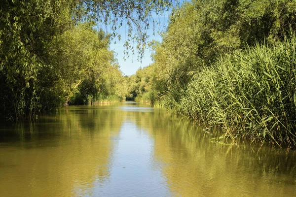 Dia de verão ensolarado em uma bela paisagem fluvial — Fotografia de Stock