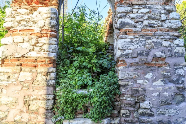 Ancient wall with plants in Istanbul — Stock Photo, Image
