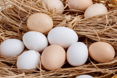 ahşap bir arka plan üzerinde saman çiğ yumurta