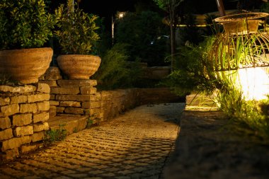 güzel vintage bahçe ile aydınlatılmış bitkiler ile bahçe kapları 