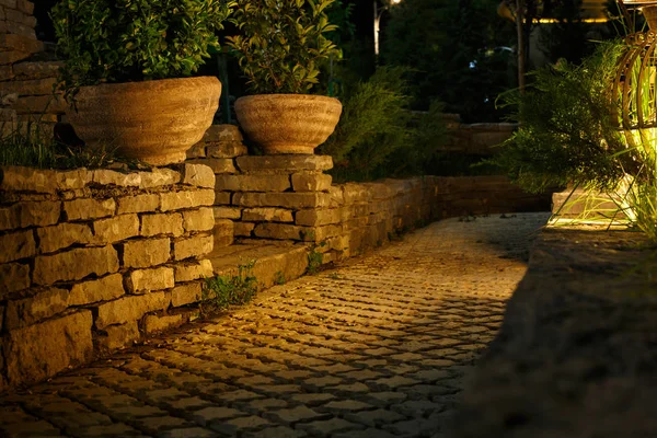 Vasos de jardim com plantas iluminadas por belo jardim vintage — Fotografia de Stock