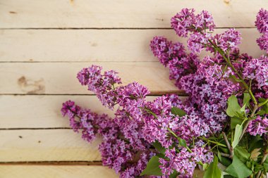 ahşap bir arka plan üzerinde leylak dalı . üstten görünüm .