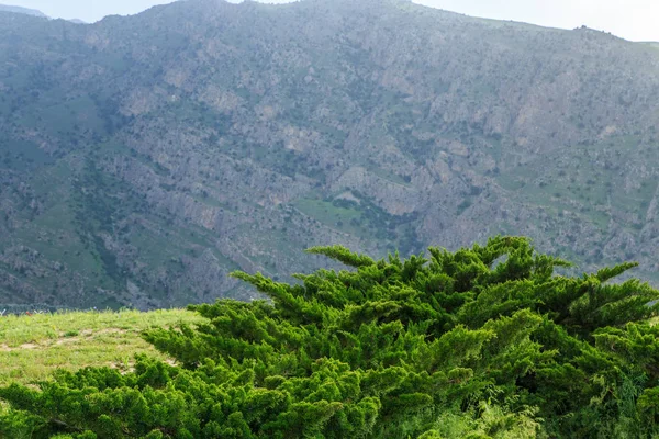 Le montagne dell'Iran e del Turkmenistan in una giornata estiva, gree — Foto Stock