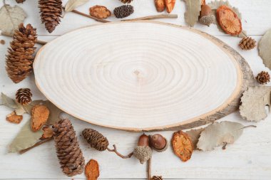 sonbahar tarzında ahşap bir arka plan üzerinde bir ağacın kesiti .