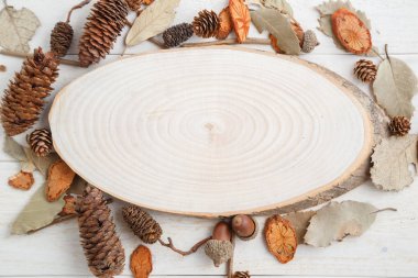 sonbahar tarzında ahşap bir arka plan üzerinde bir ağacın kesiti .