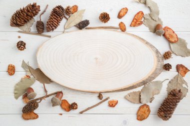 sonbahar tarzında ahşap bir arka plan üzerinde bir ağacın kesiti .