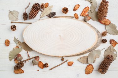 sonbahar tarzında ahşap bir arka plan üzerinde bir ağacın kesiti .