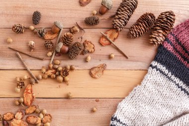 sonbahar arka plan. koniler, meşe palamudu ve sıcak bir j ile ahşap parçaları