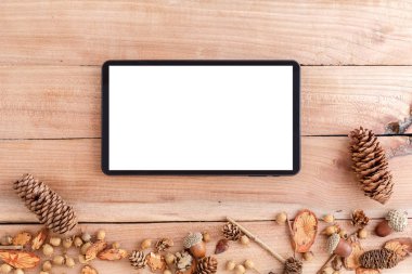 ahşap sonbahar geri elektronik tablet, koni, meşe palamudu ve ahşap