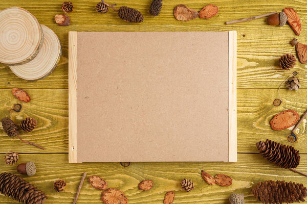 autumn background. flat lay. pieces of wood, cones, acorns and a