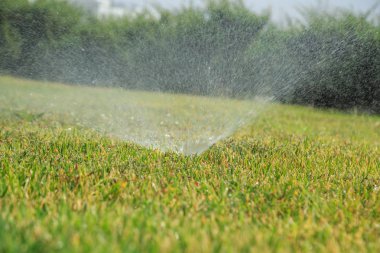 güneşli bir yaz günü yeşil çim sulama yağmurlama