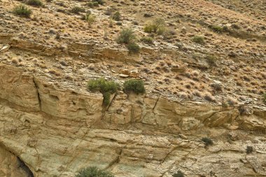 Asya 'nın dağlarında kumlu bir yüzey. Yağmursuz ve kuru bitkiler..