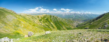 Geniş yeşil dağ Vadisi üstten görünüm.