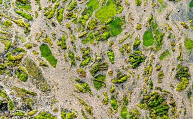 yukarıdan çamurlu bataklık görünümün Soyut doku