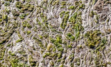 yukarıdan çamurlu bataklık görünümün Soyut doku