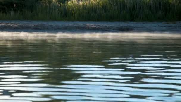 Испарение Воды Берегу Озера Ранним Солнечным Утром — стоковое видео