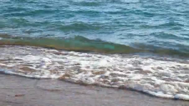 Las olas del mar en la playa de cerca, lavar la arena en la playa — Vídeos de Stock