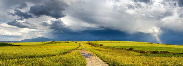 Panorama de la route des champs parmi les champs de blé par temps nuageux — Photo