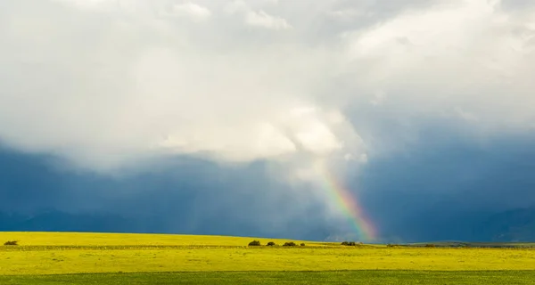 Rainbow shines from clouds on a dark background in a wheat field